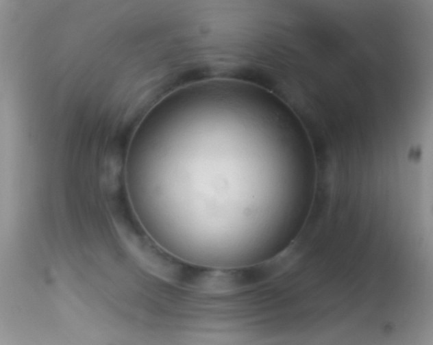 X0000114630082200910201429