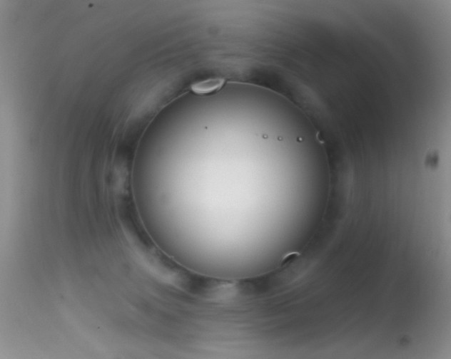 X0000114630083200910201429