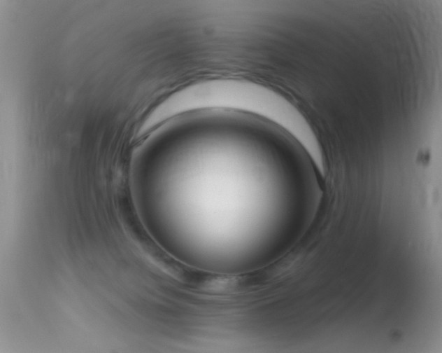 X0000114630084200910201429