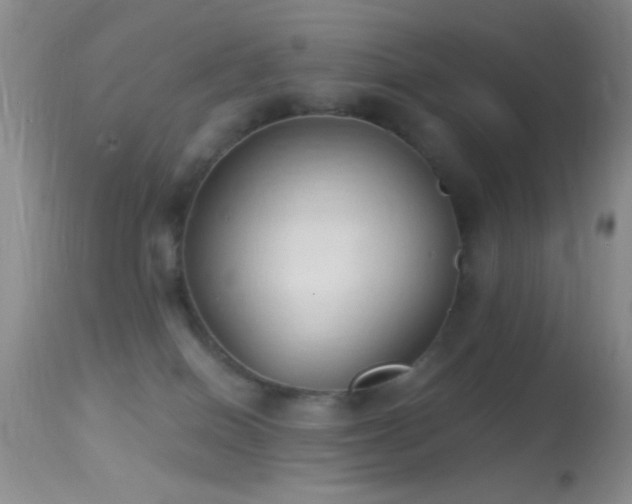 X0000114630086200910201429