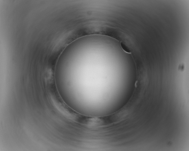 X0000114630087200910201429