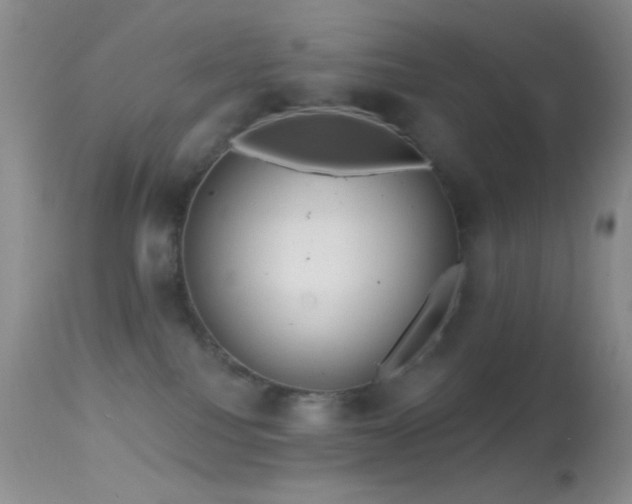 X0000114630088200910201429