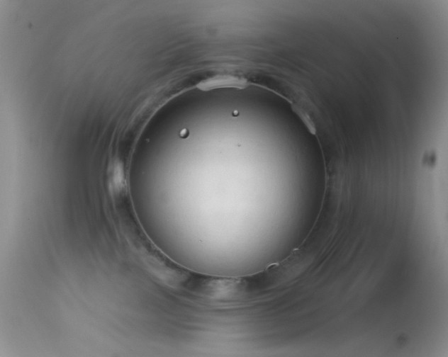 X0000114630089200910201429