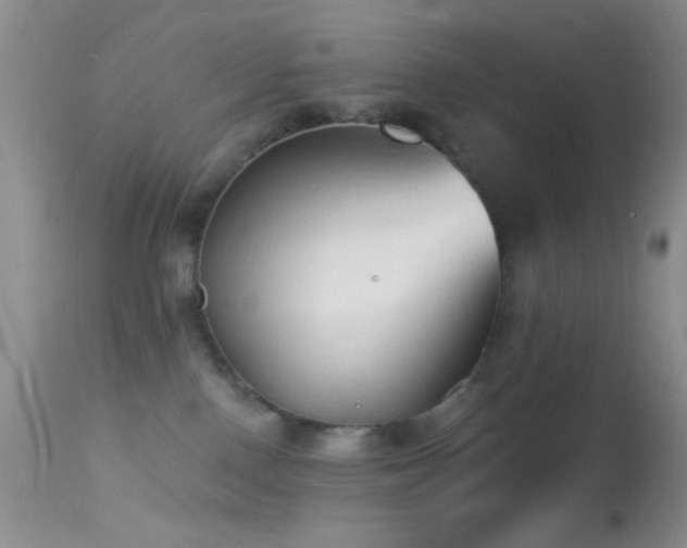 X0000114630090200910201429