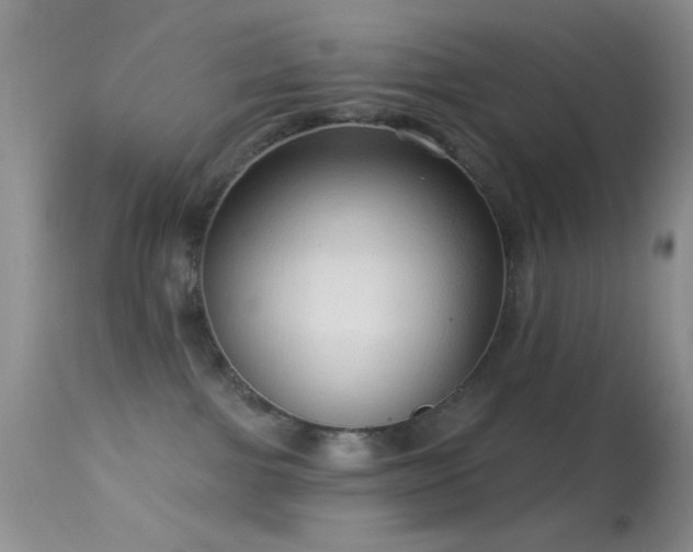 X0000114630091200910201429