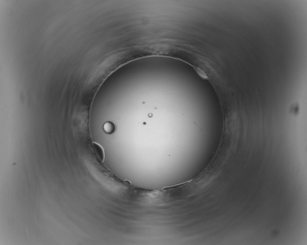 X0000114630092200910201429