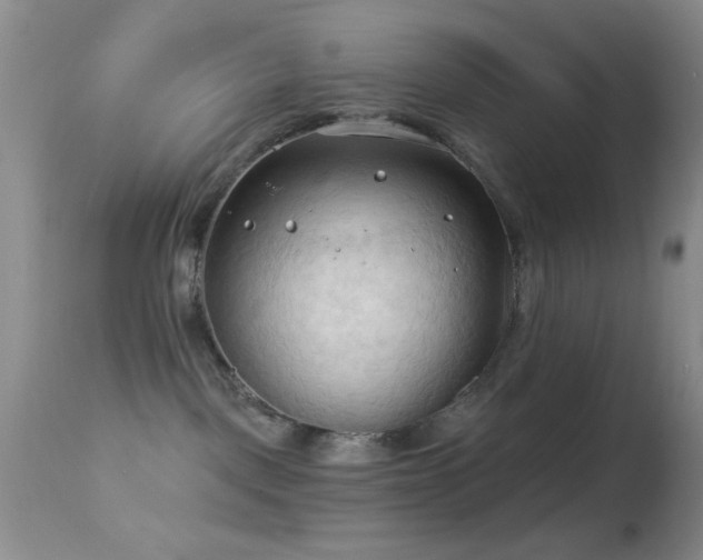 X0000114630093200910201429