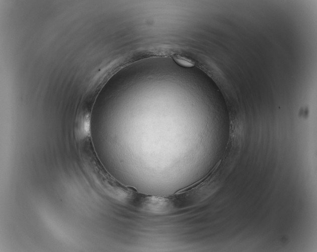 X0000114630095200910201430