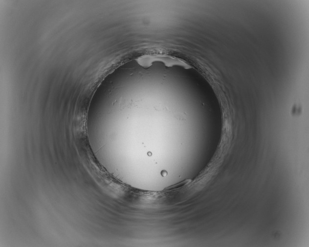 X0000114630096200910201430