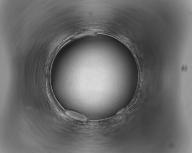 X0000114630097200910201429