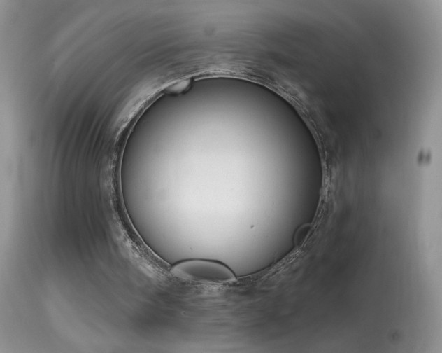 X0000114630098200910201429