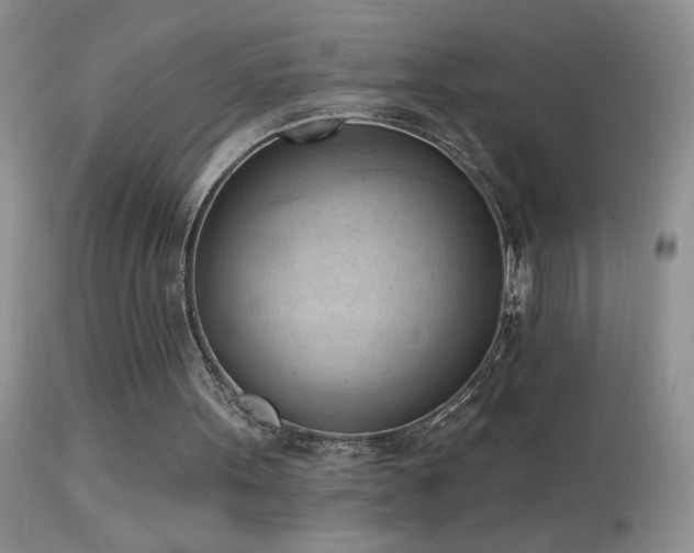 X0000114630099200910201429