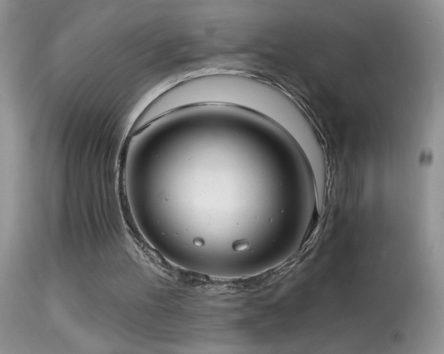 X0000114630100200910201429