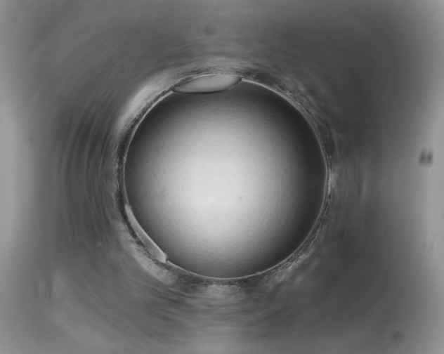 X0000114630101200910201429