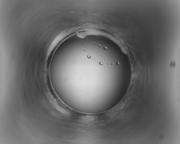 X0000114630102200910201429