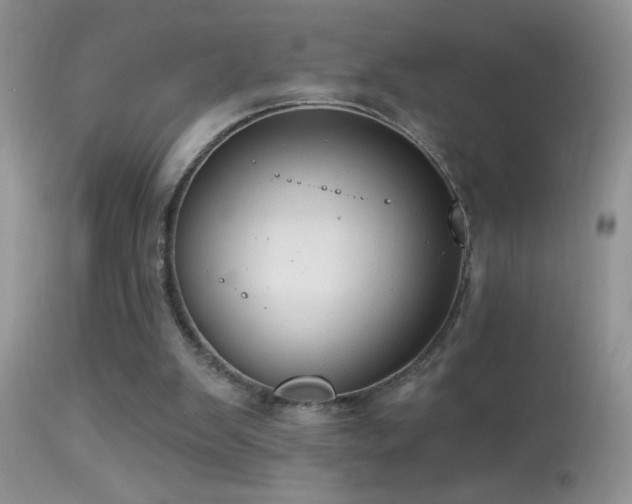 X0000114630103200910201429