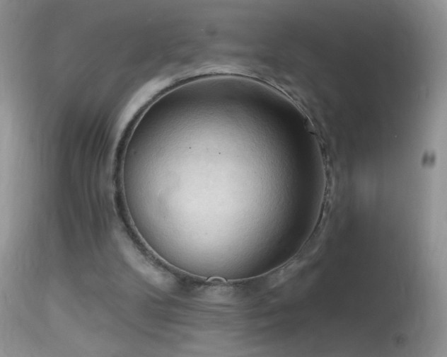 X0000114630104200910201429