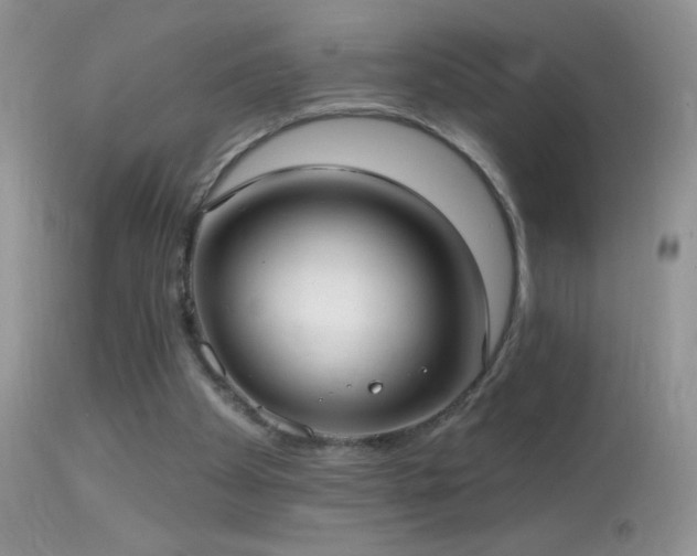 X0000114630105200910201429