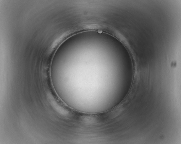 X0000114630106200910201429