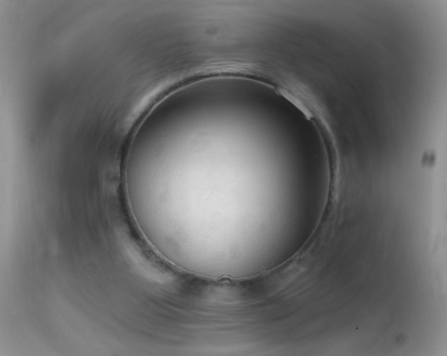 X0000114630107200910201429