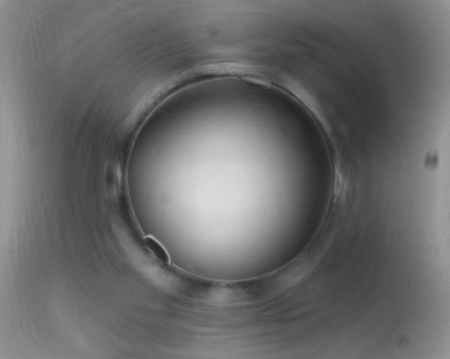 X0000114630109200910201429