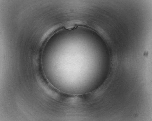 X0000114630112200910201429