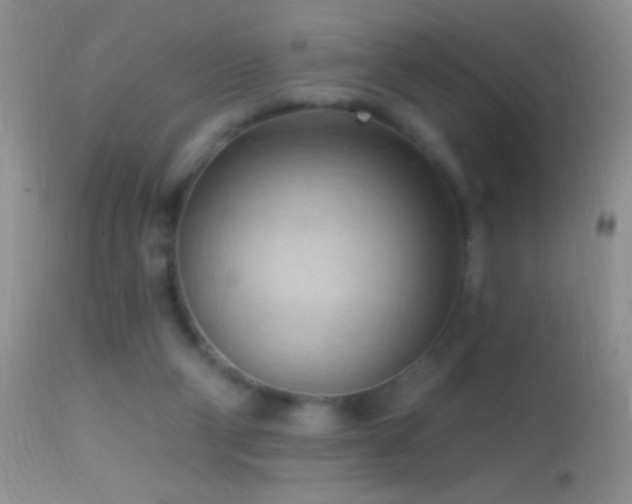 X0000114630114200910201429