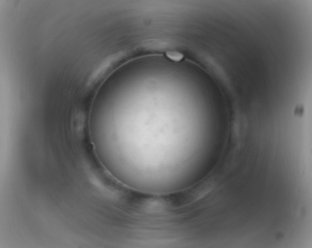 X0000114630115200910201429