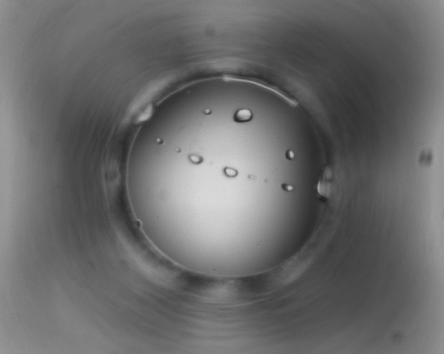 X0000114630116200910201429