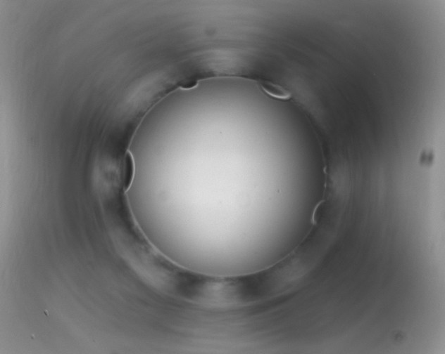 X0000114630117200910201429