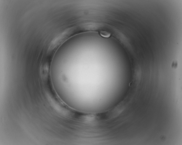 X0000114630118200910201429