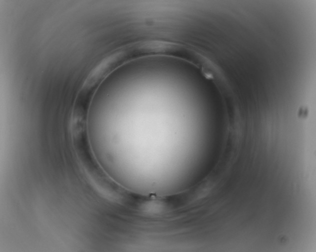 X0000114630119200910201429