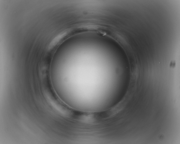 X0000114630120200910201429