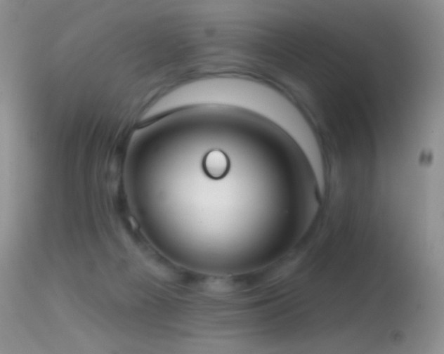 X0000114630121200910201429