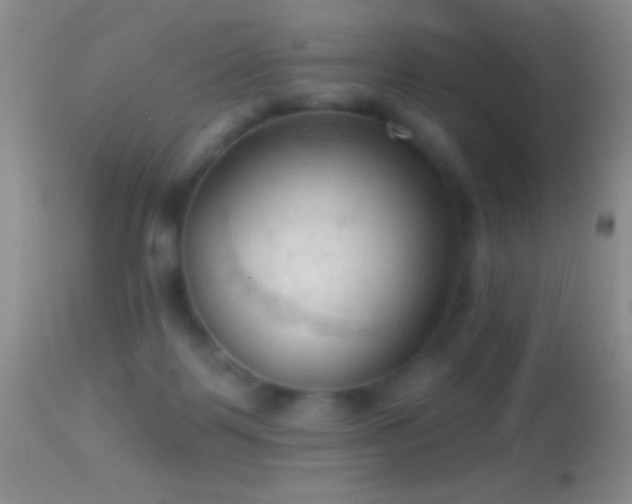 X0000114630123200910201428