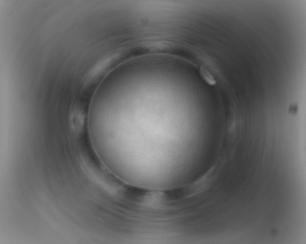 X0000114630124200910201428