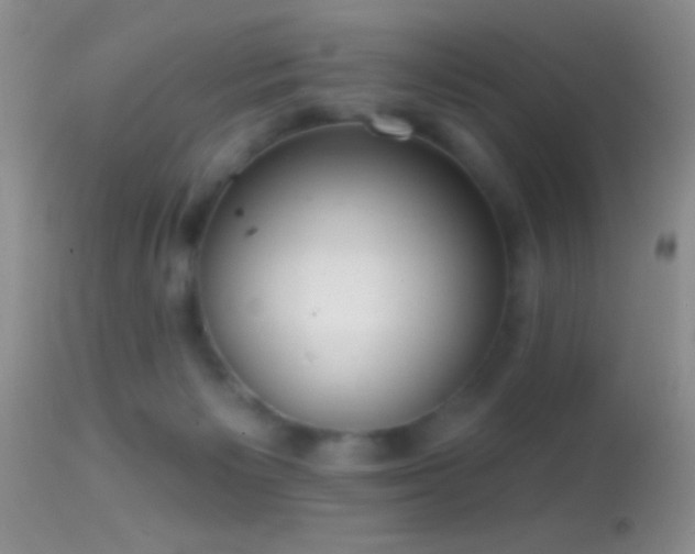 X0000114630125200910201428