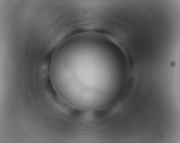 X0000114630127200910201428