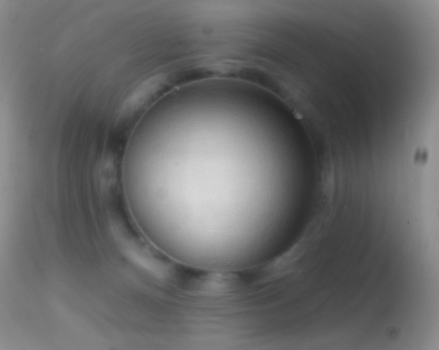 X0000114630128200910201428