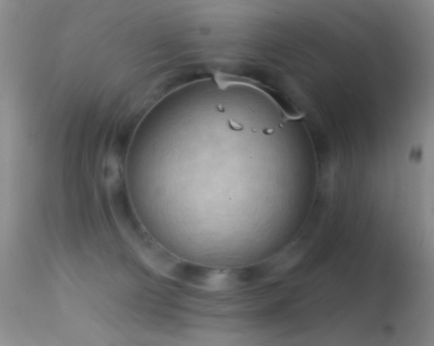 X0000114630130200910201428