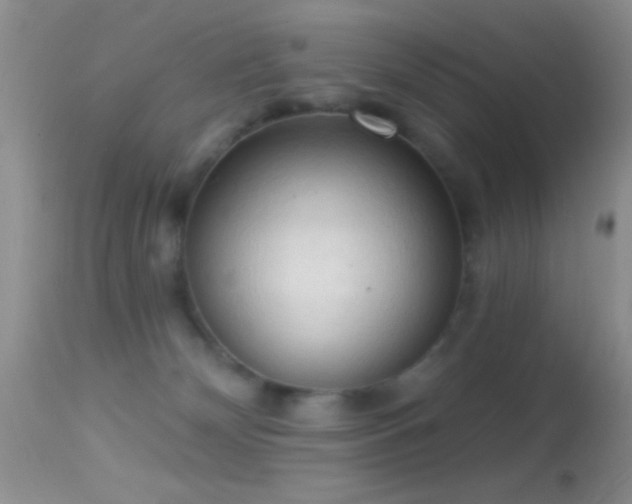 X0000114630132200910201428