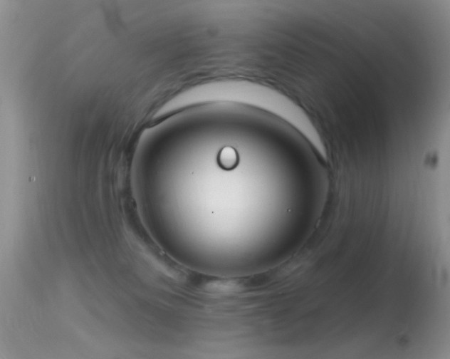 X0000114630133200910201428