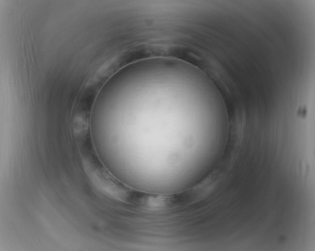 X0000114630134200910201428