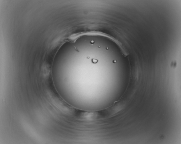 X0000114630135200910201428