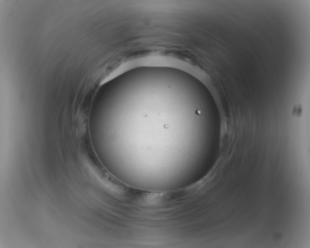 X0000114630136200910201428