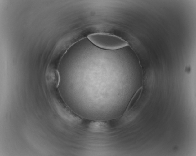 X0000114630137200910201428