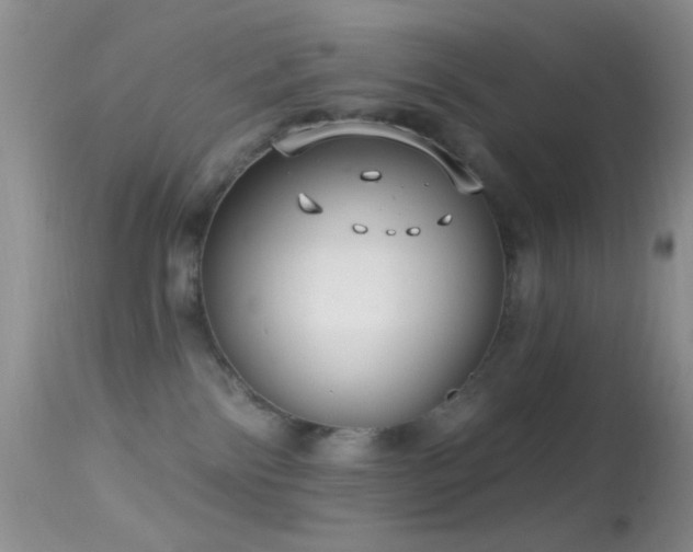 X0000114630138200910201428