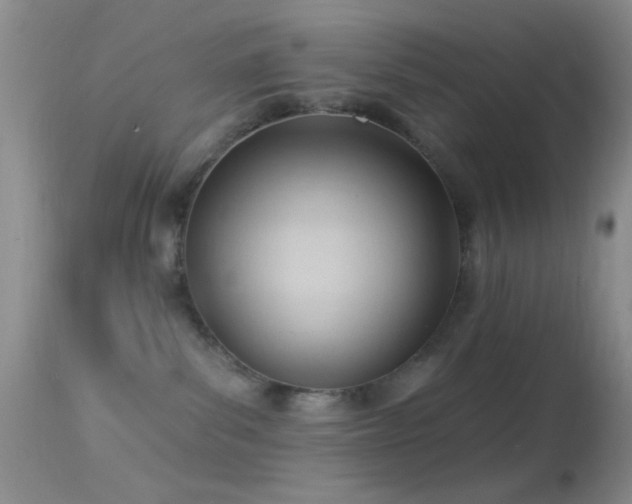 X0000114630139200910201428