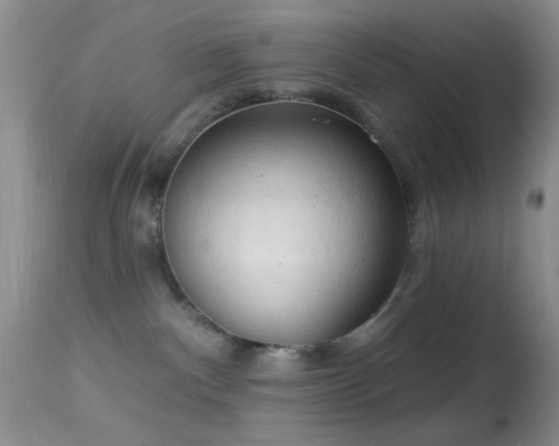 X0000114630140200910201428