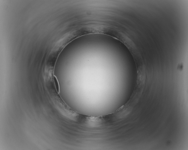 X0000114630141200910201428